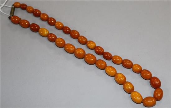 A single strand graduated amber bead necklace, gross weight 27 grams, 42cm.